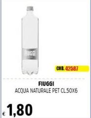 Fiuggi - Acqua Naturale Pet