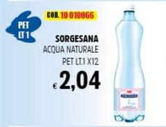 Sorgesana - Acqua Naturale Pet