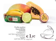 Sapori - Frutta Estica &Idee