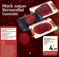 Gastone - Black Angus Bernardini