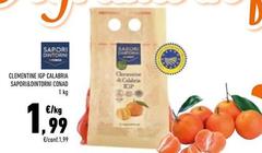 Sapori - Clementine IGP Calabria &Dintorni