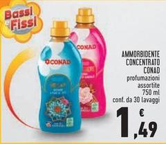 Bassi - Ammorbidente Concentrato