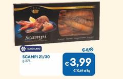 Scampi 21/30