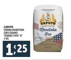 Caputo - Farina Manitoba Oro Grano Tenero Tipo 