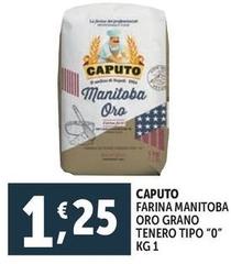 Caputo - Farina Manitoba Oro Grano Tenero Tipo 