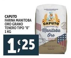 Caputo - Farina Manitoba Oro Grano Tenero Tipo 