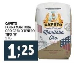 Caputo - Farina Manitoba Oro Grano Tenero Tipo 