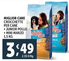 Morando - Miglior Cane Crocchette Per Cane 