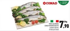 Conad - Trota Salmonata