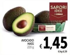 Sapori - Avocado Hass