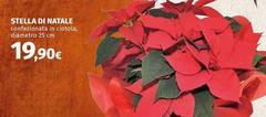 Stella -  Di Natale