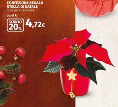 Stella - Confezione Regalo  Di Natale