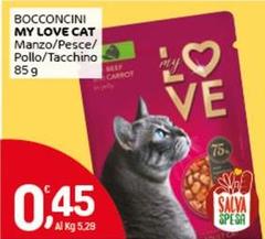 My Love Cat -  Bocconcini