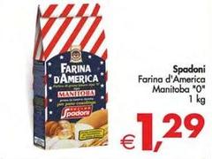 Molino spadoni - Farina D'America Manitoba