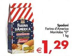 Molino Spadoni - Farina D'America Manitoba 