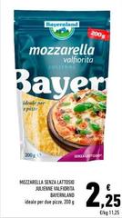 Bayernland - Mozzarella Senza Lattosio Julienne Valfiorita