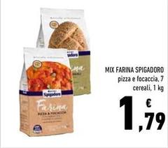 Molini spigadoro - Mix Farina