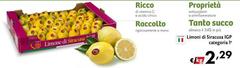 Limon Di Siracusa IGP Categoria 1