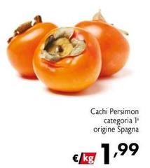 Cachi Persimon Categoria 1°  Spagna