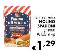 Molino Spadoni - Farina America