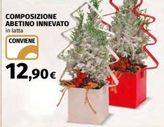 Composizione Abetino Innevato