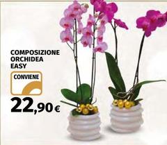 Orchidea - Composizione  Easy