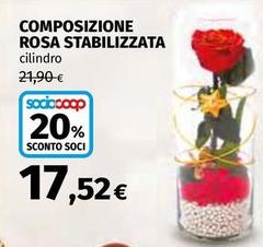 Composizione Rosa Stabilizzata