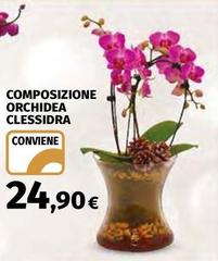 Orchidea - Composizione  Clessidra
