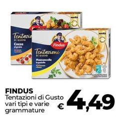 Findus - Tentazioni Di Gusto