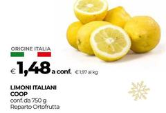 Origine - Limoni Italiani