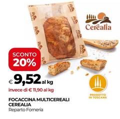 Cerealia - Focaccina Multicereali