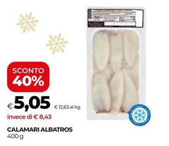 Albatros - Calamari