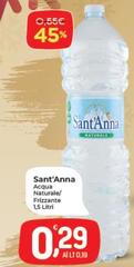 Sant'anna - Acqua Naturale/ Frizzante
