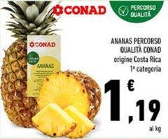 Conad - Ananas Percorso Qualità