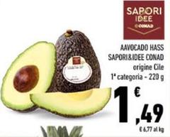 Sapori - &Idee Aavocado Hass