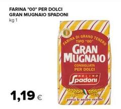 Molino Spadoni - Farina 