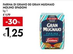 Molino Spadoni - Farina Di Grano 00 Gran Mugnaio