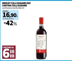 Colli euganei - Merlot Colli Euganei DOC