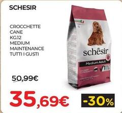 Schesir - Crocchette Cane Medium Maintenance 
