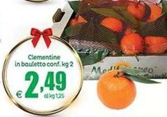 Clementine In Bauletto