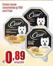 Cesar - Cane Vaschetta