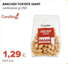 Consilia - Arachidi Tostate Giant