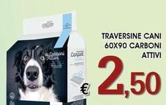 Traversine - Cani 60x90 Carboni Attivi