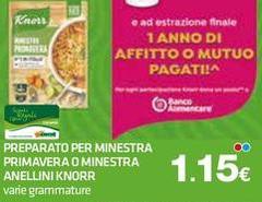 Knorr - Preparato Per Minestra Primavera O Minestra Anellini