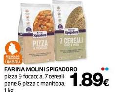 Molini spigadoro - Farina