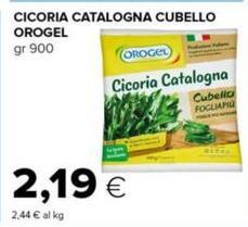 Orogel - Cicoria Catalogna Cubello