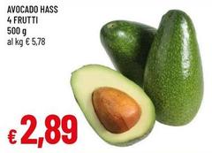 Avocado Hass 4 Frutti