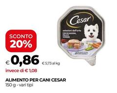 Cesar - Alimento Per Cani