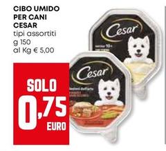 Cesar - Cibo Umido Per Cani