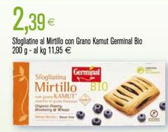 Germinal - Sfogliatine Al Mirtillo Con Grano Kamut Bio